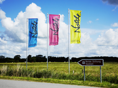 Tre farverige Nolde-flag vajer i vinden foran et informationsskilt fra Nolde Stiftung Seeb&uuml;ll; i baggrunden gr&aelig;sser k&oslash;er p&aring; engen.