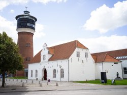KOMBI-BILLET T&Oslash;NDER: TO MUSEER - &Eacute;N BILLET