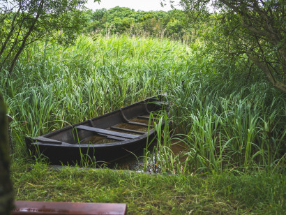 Idyllic view of the Nolde boat on the Schmale, surrounded by reeds.