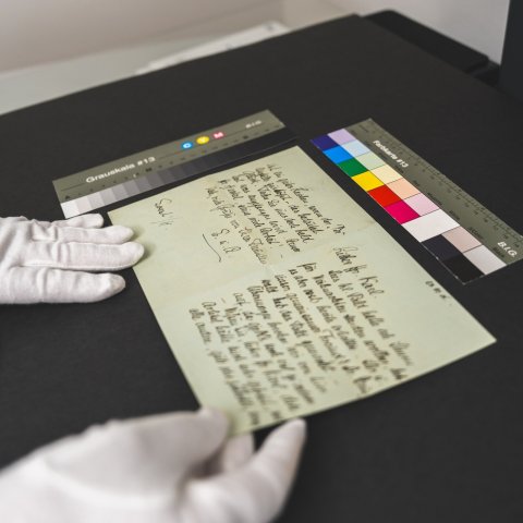 Insights into Collection, Estate and Research